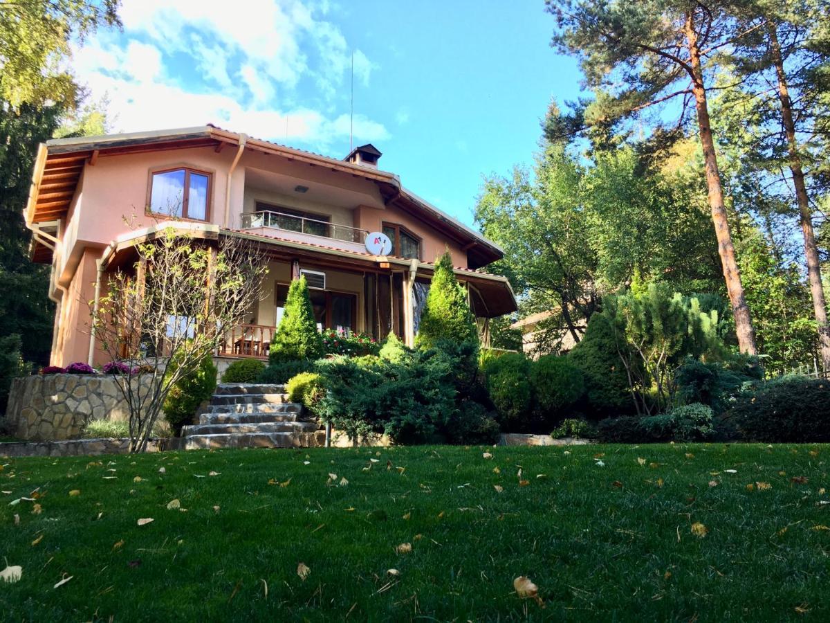 Luxury Villa Borina Zheleznitsa Екстериор снимка