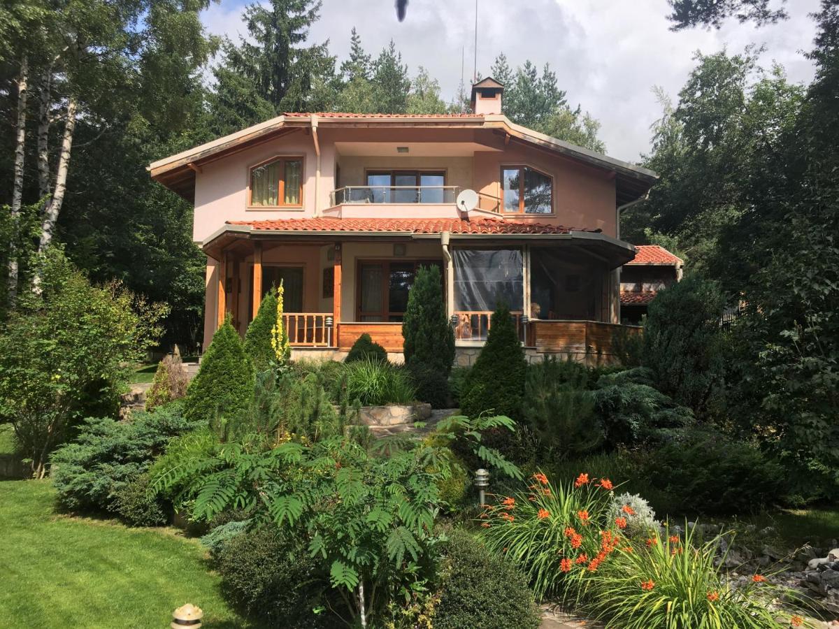 Luxury Villa Borina Zheleznitsa Екстериор снимка
