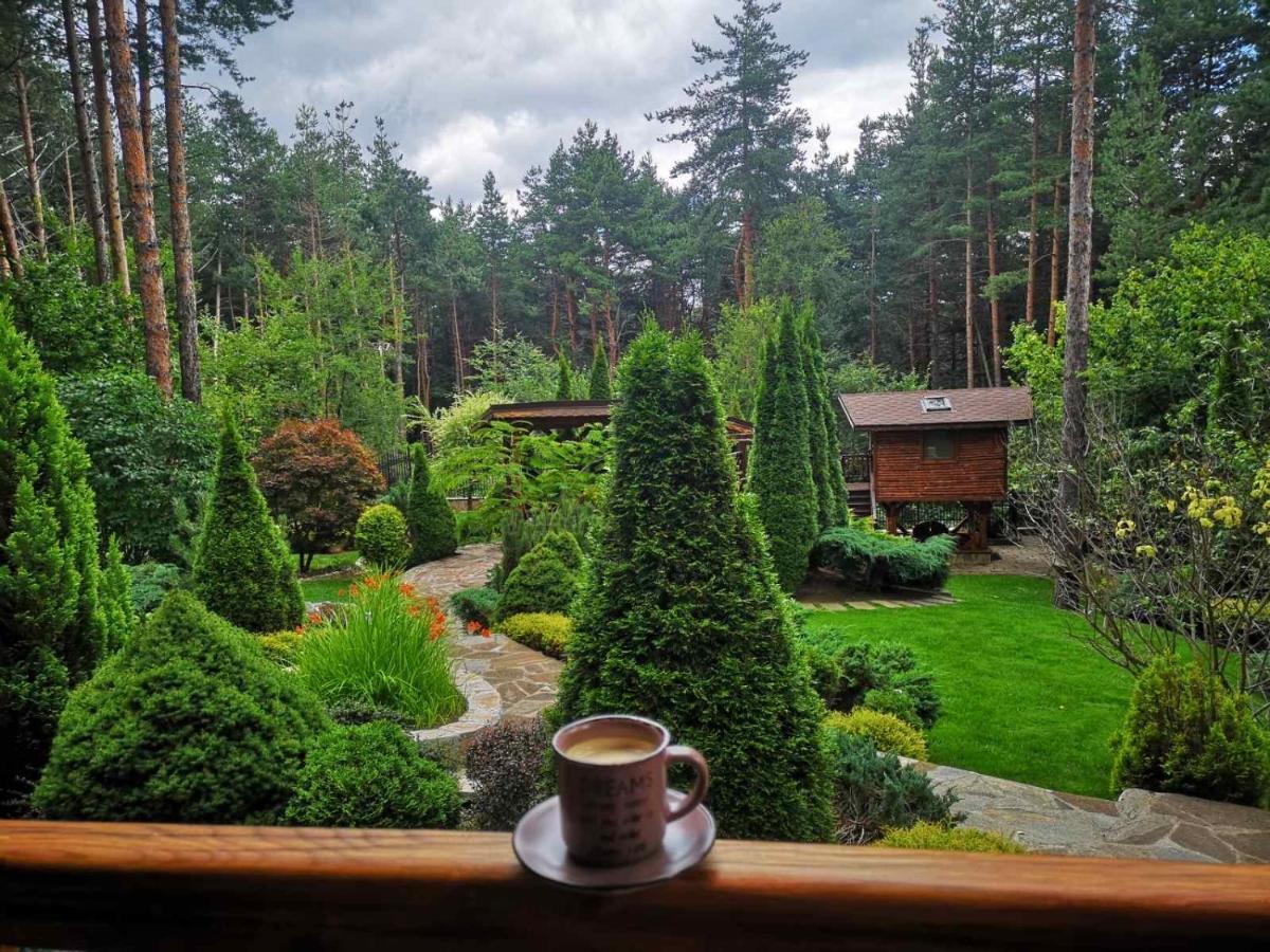 Luxury Villa Borina Zheleznitsa Екстериор снимка