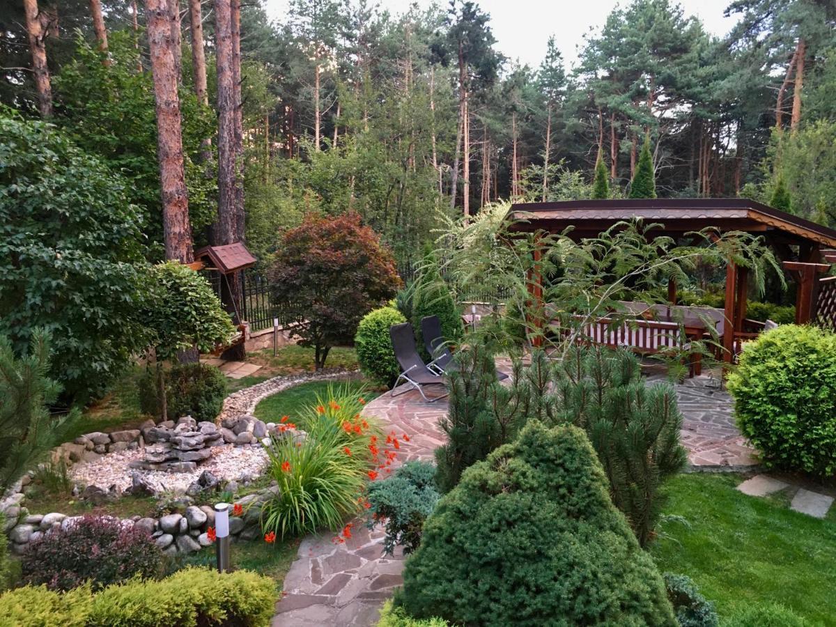 Luxury Villa Borina Zheleznitsa Екстериор снимка