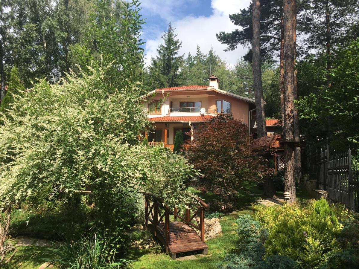 Luxury Villa Borina Zheleznitsa Екстериор снимка