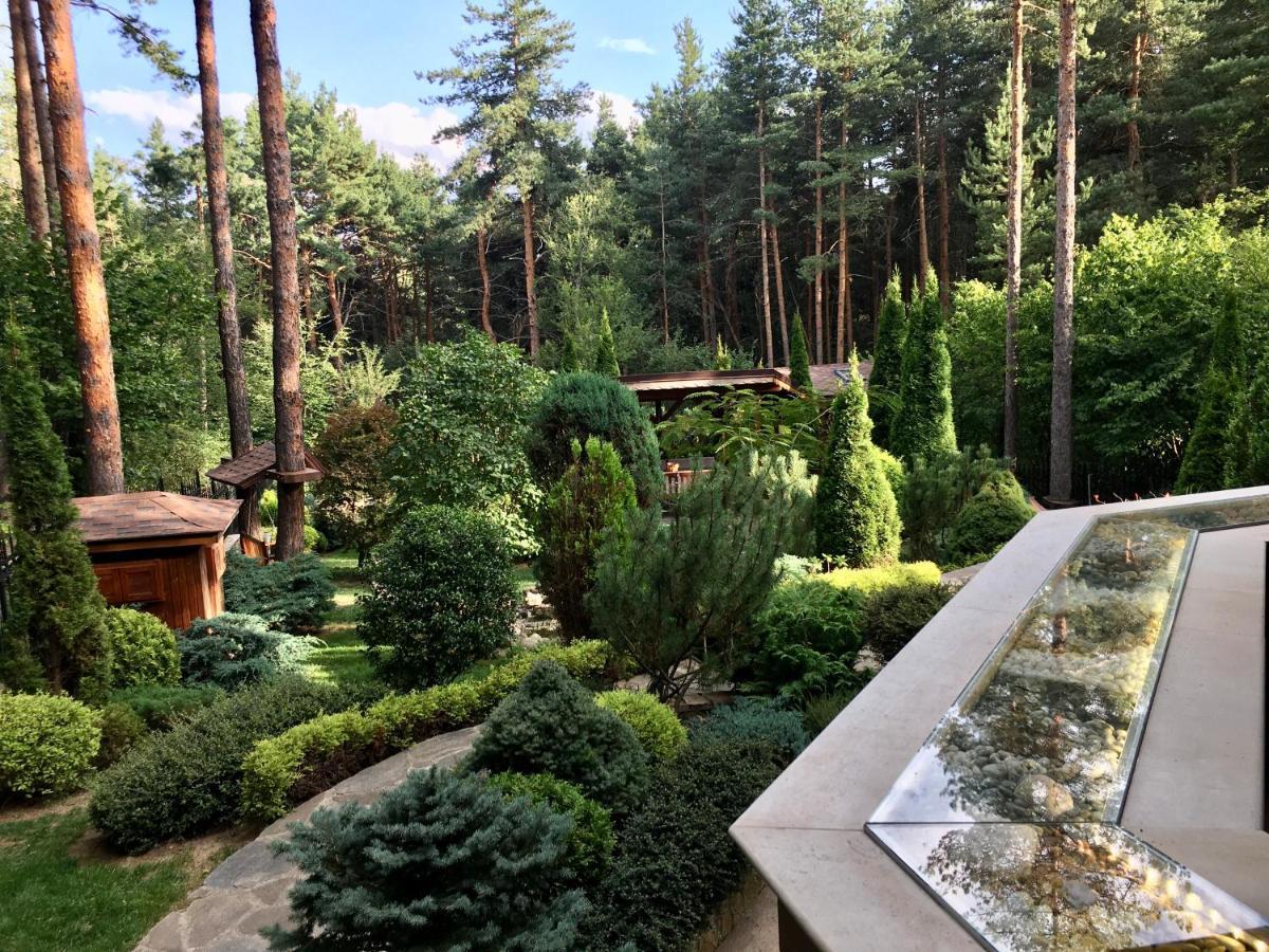 Luxury Villa Borina Zheleznitsa Екстериор снимка