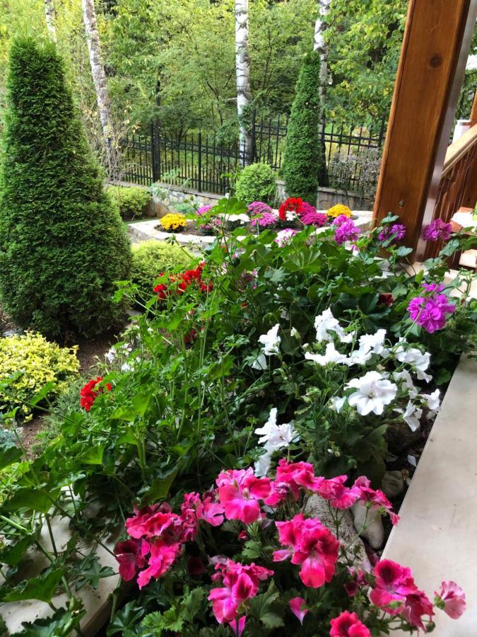 Luxury Villa Borina Zheleznitsa Екстериор снимка