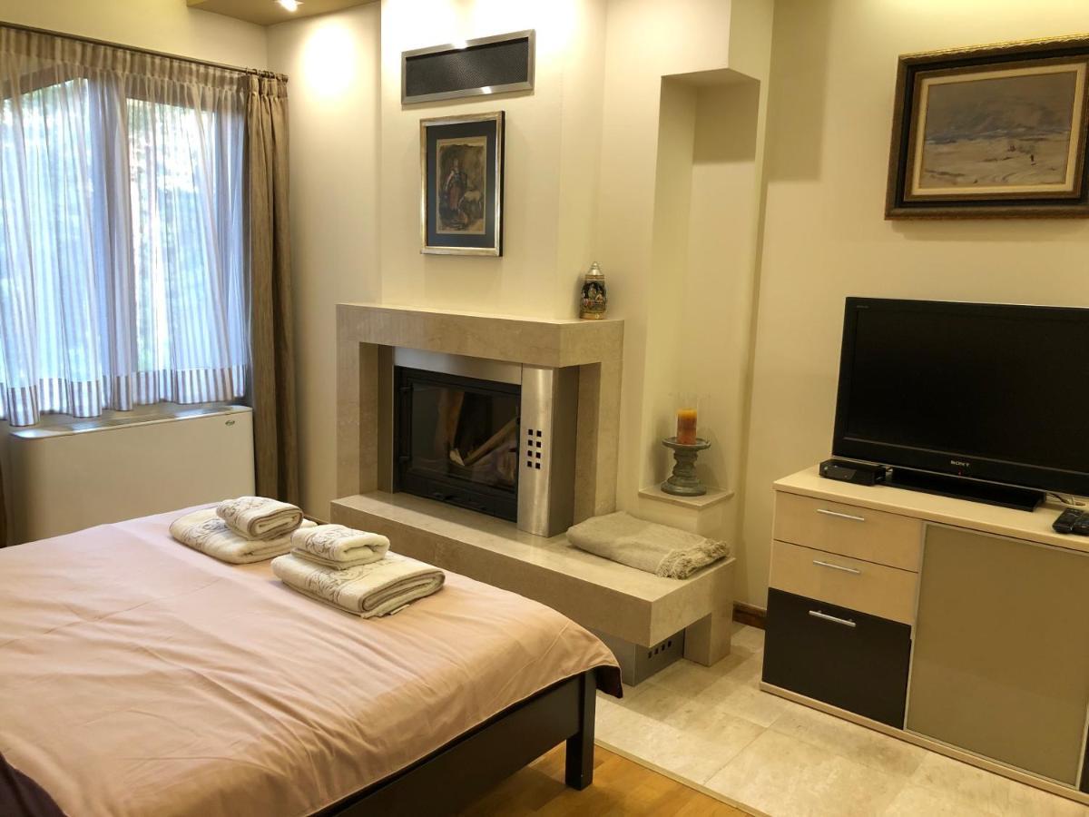 Luxury Villa Borina Zheleznitsa Екстериор снимка