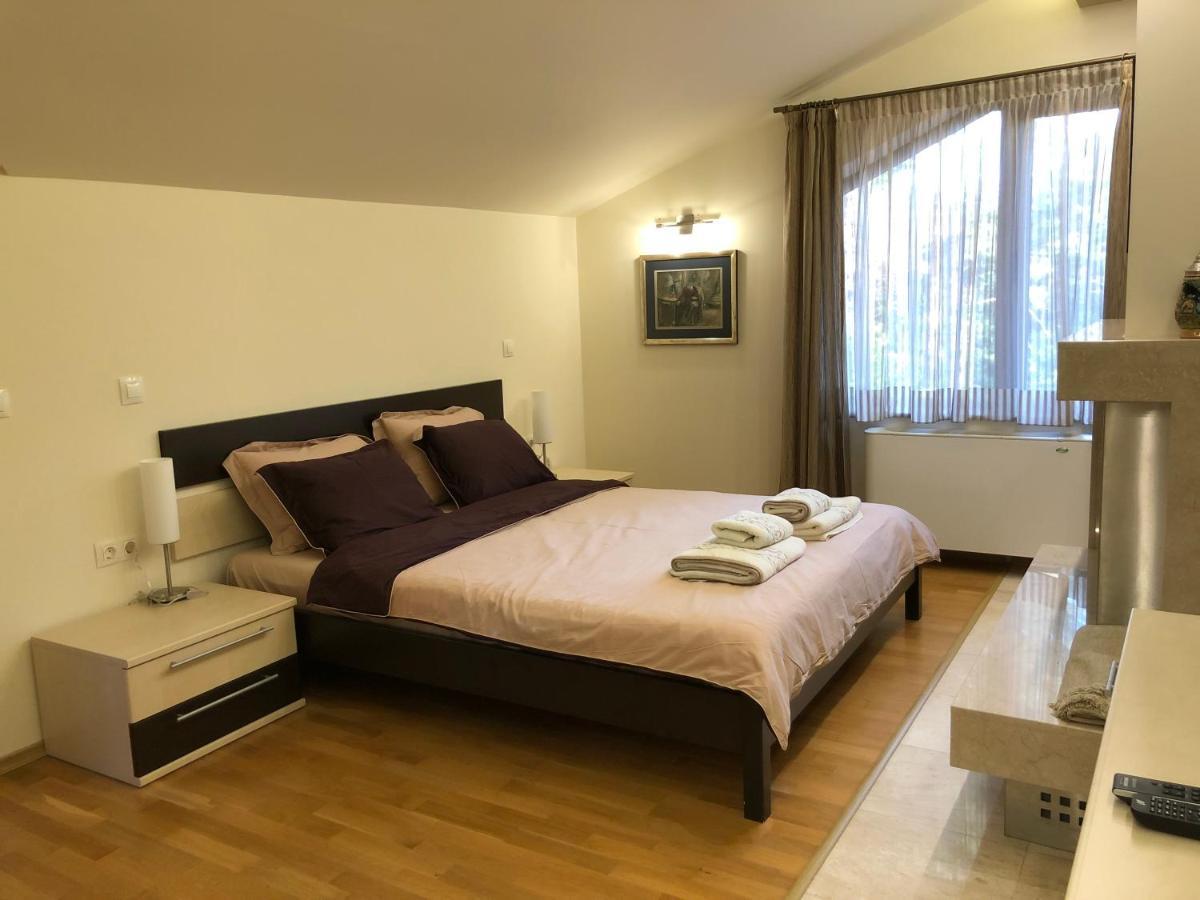 Luxury Villa Borina Zheleznitsa Екстериор снимка