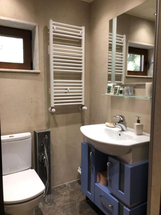 Luxury Villa Borina Zheleznitsa Екстериор снимка
