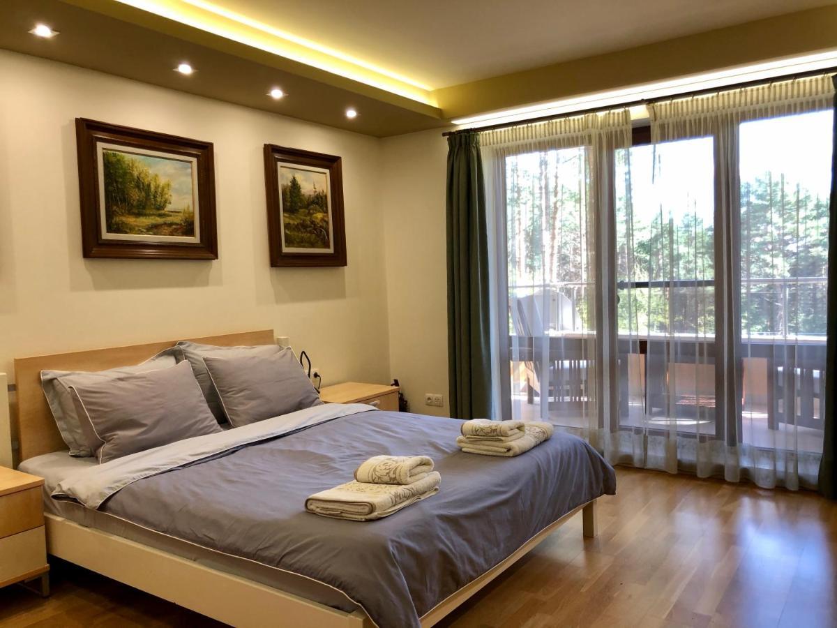 Luxury Villa Borina Zheleznitsa Екстериор снимка