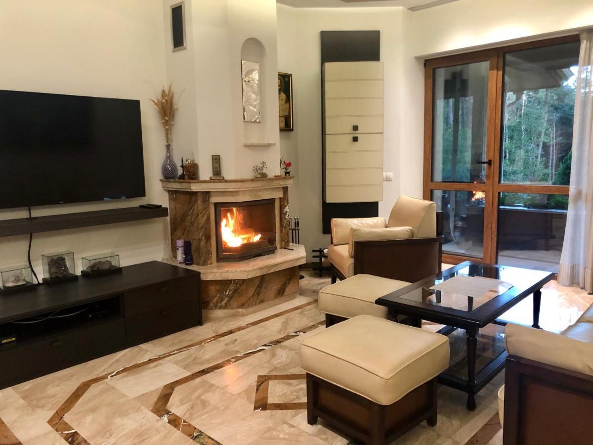 Luxury Villa Borina Zheleznitsa Екстериор снимка
